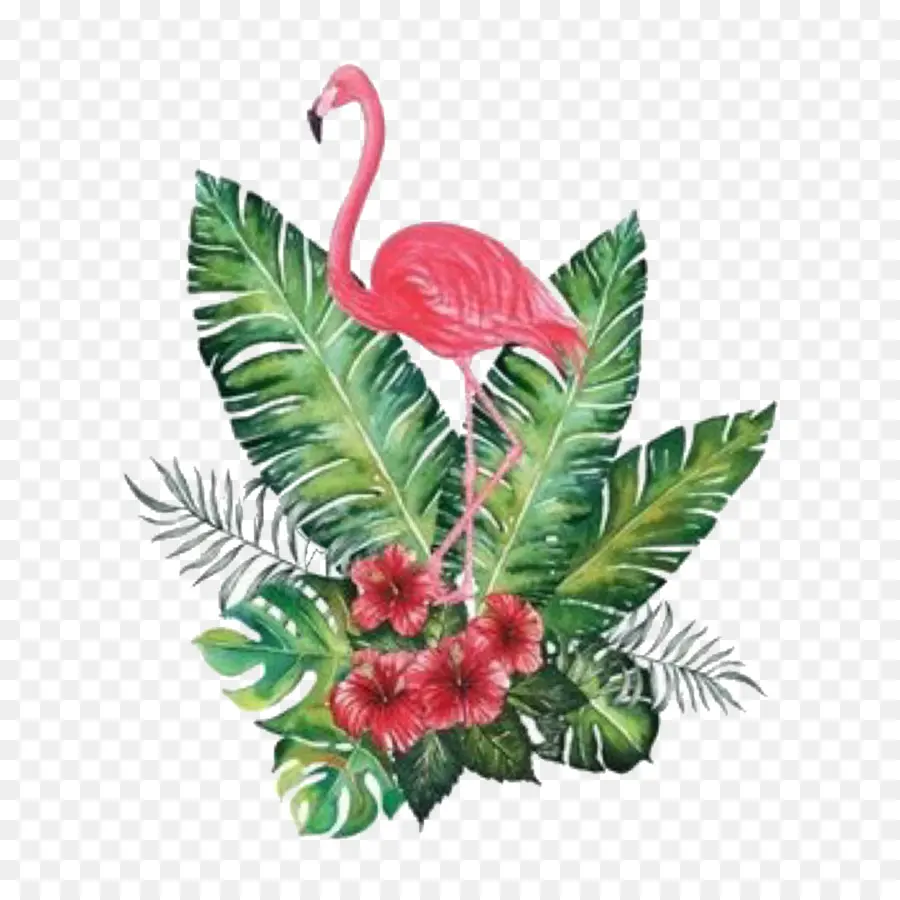Flamingo，Pintura A La Acuarela PNG