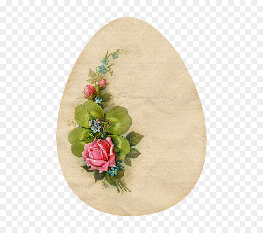 Diseño Floral，O Ovalado PNG