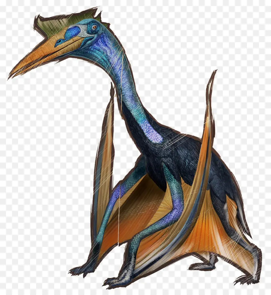 Quetzalcoatlus，La Supervivencia Del Arca Evolucionó PNG