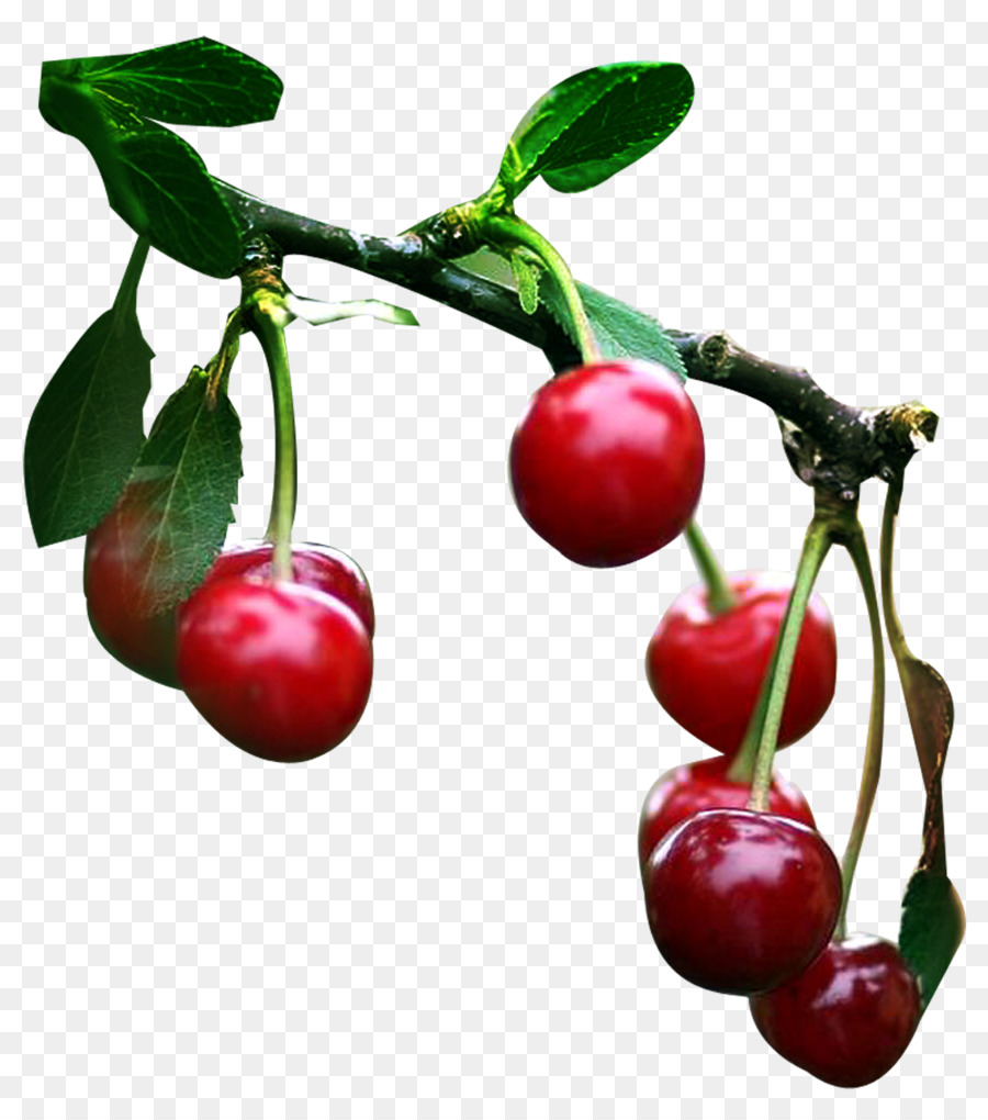 Cereza，La Fruta PNG