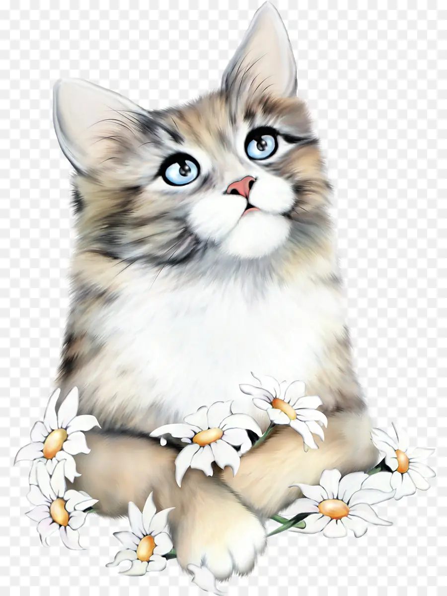 Gato，Gatito PNG