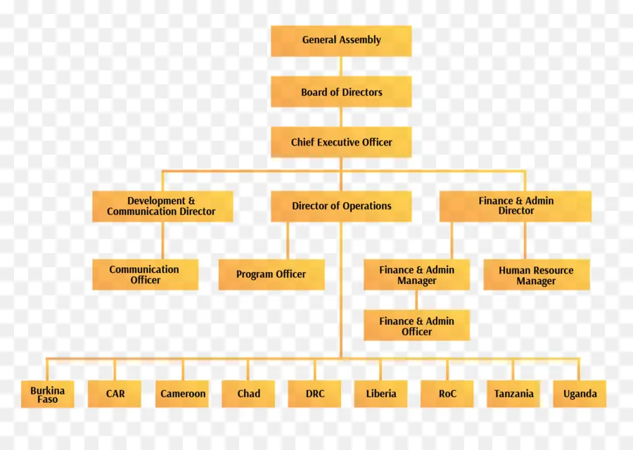 Organigrama，Jerarquía PNG