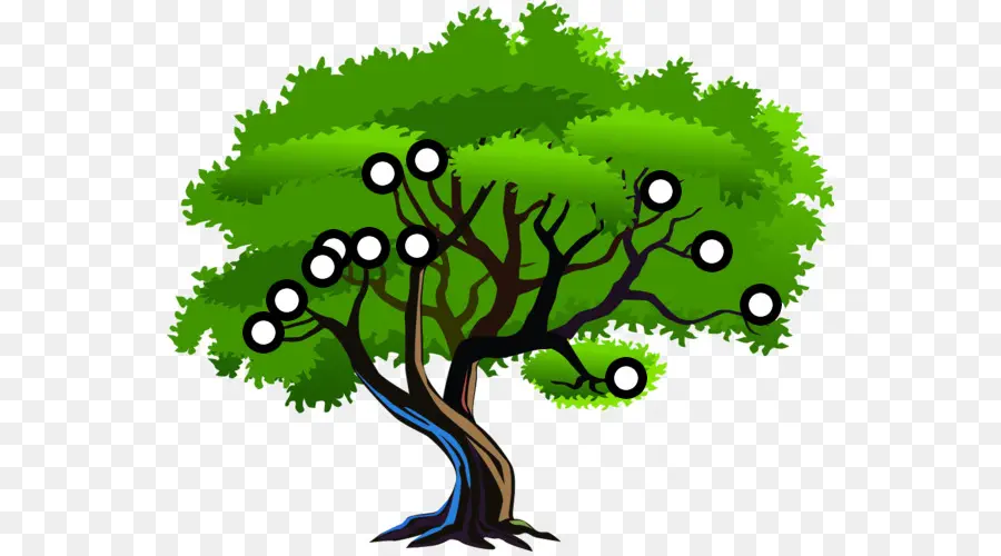 Ilustración De árbol，Hojas PNG