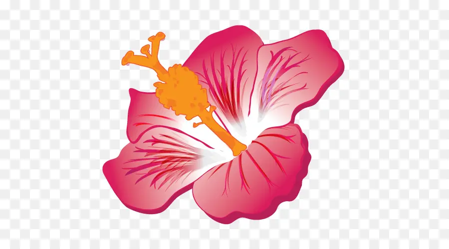 Rosemallows，Hibisco Amarillo PNG