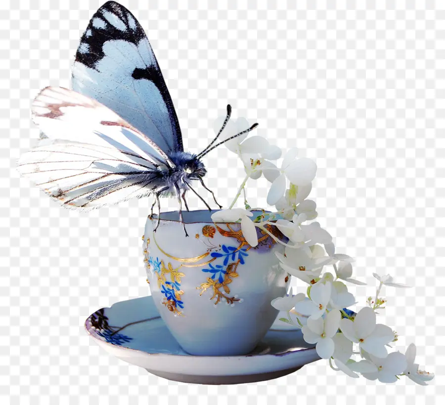 Mariposa En Taza De Té，Taza Para Té PNG