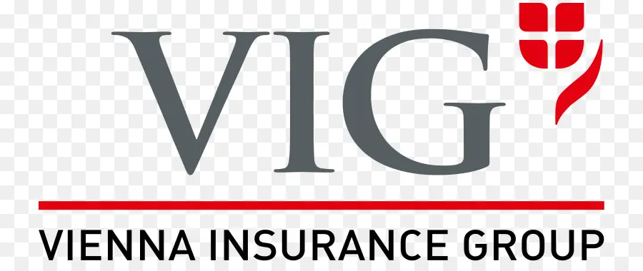 Vienna Insurance Group，Seguro PNG