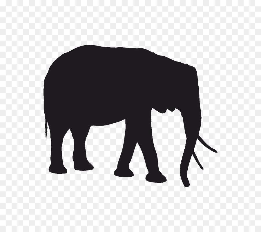 Iphone X，Elefante Indio PNG