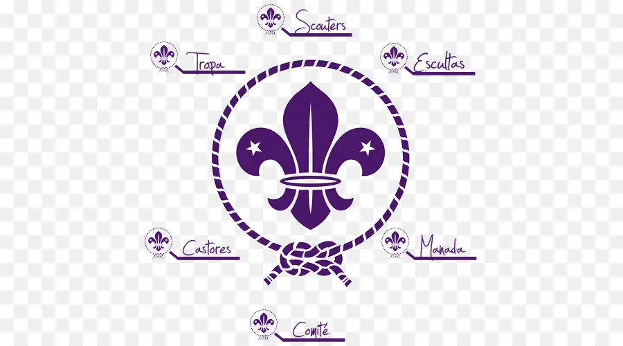 Organización Mundial Del Movimiento Scouts，Emblema De Scouts World PNG