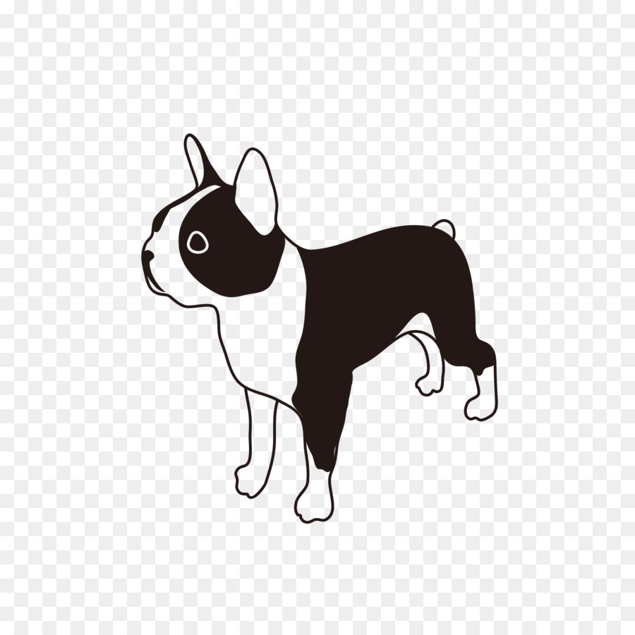 Boston Terrier，Cachorro PNG