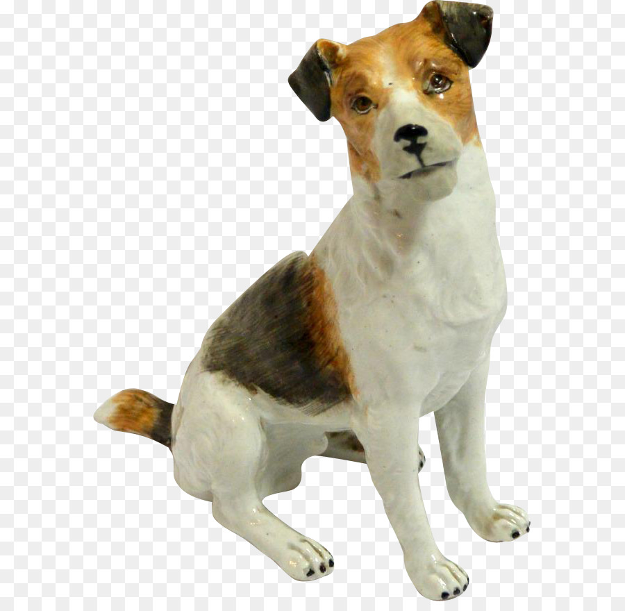 Toro Terrier，Perro PNG