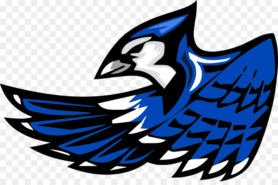 Snook，Blue Jay PNG