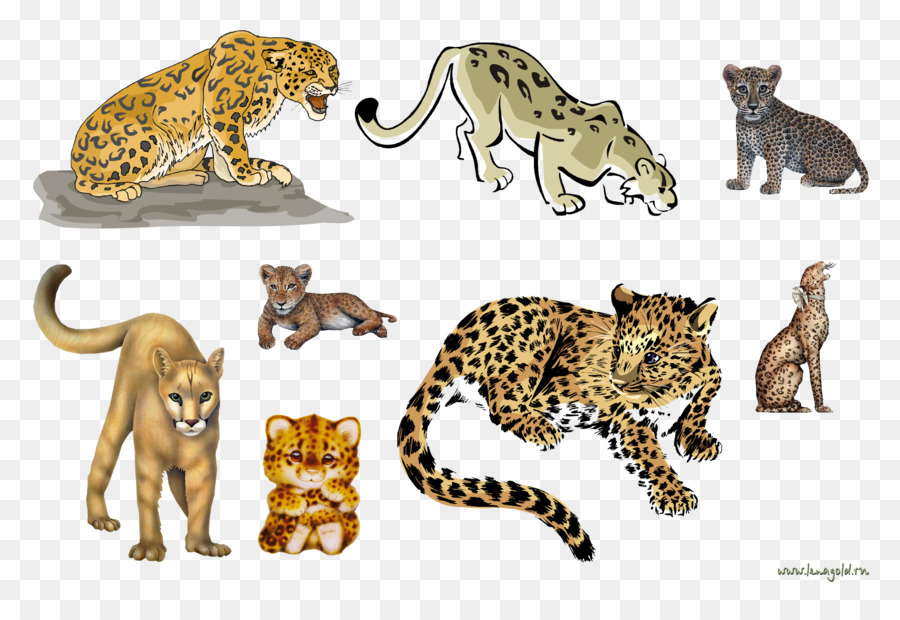 Animales，Leopardo PNG