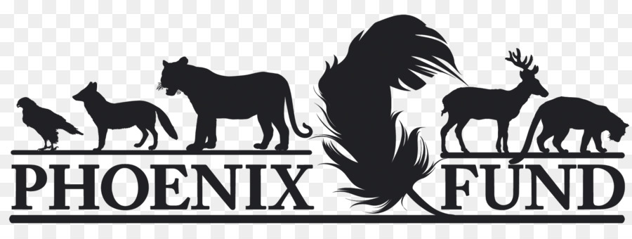 Phoenix Fondo，Mustang PNG