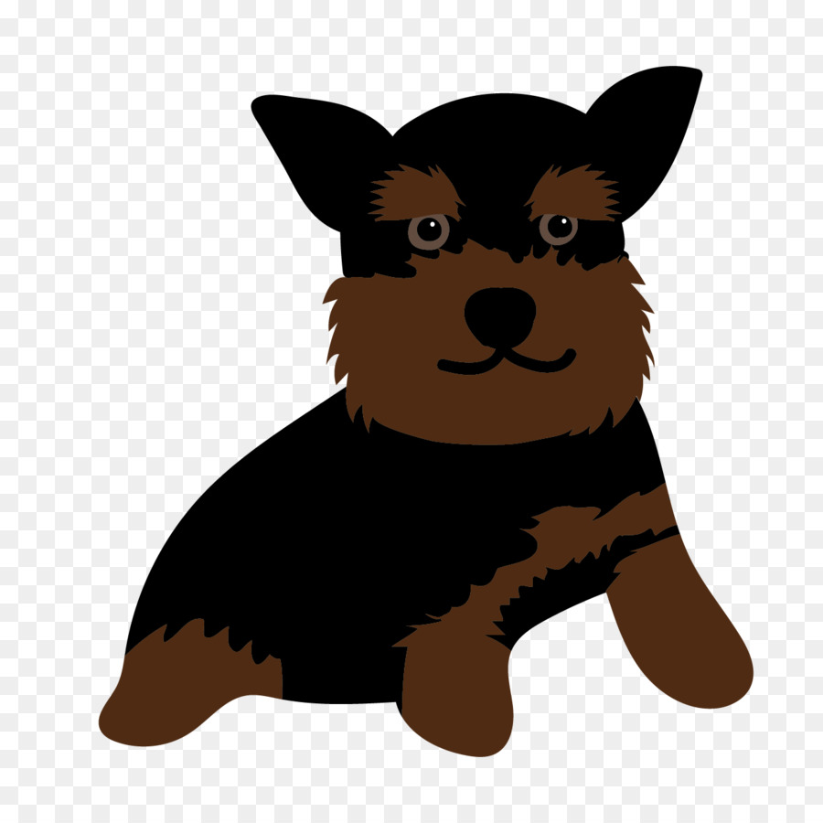 Cachorro，Yorkshire Terrier PNG
