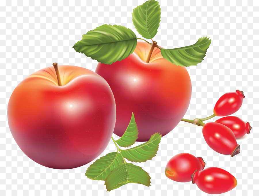 De Rosa Mosqueta，Apple PNG