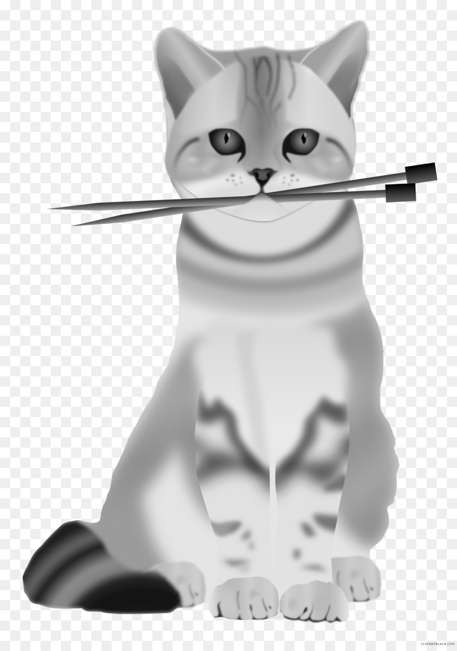 Gato Persa，Gatito PNG