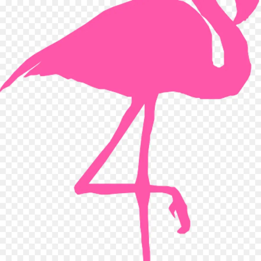 Flamingo，Silueta PNG