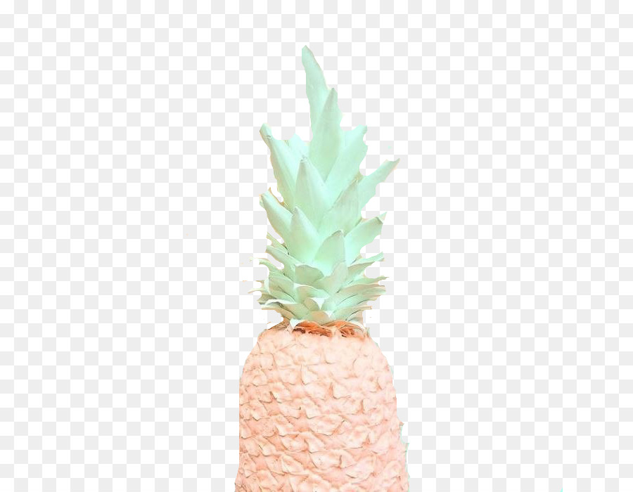 Piña，Maceta PNG