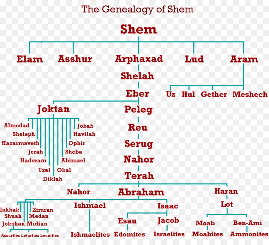 Genealogía，árbol De Familia PNG