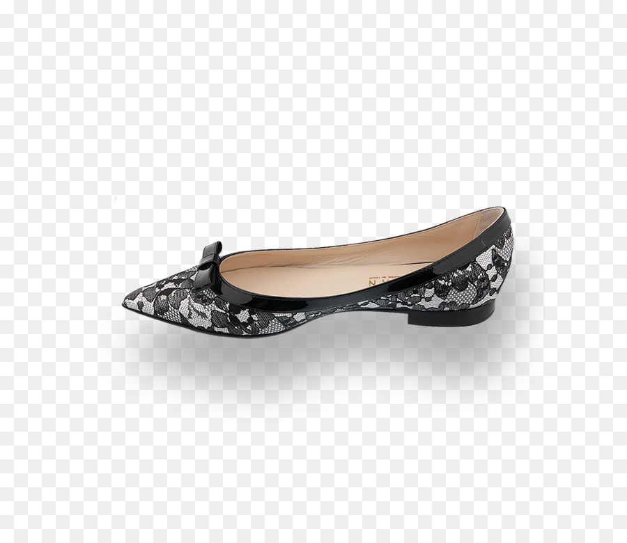 Plano De Ballet，Zapato PNG