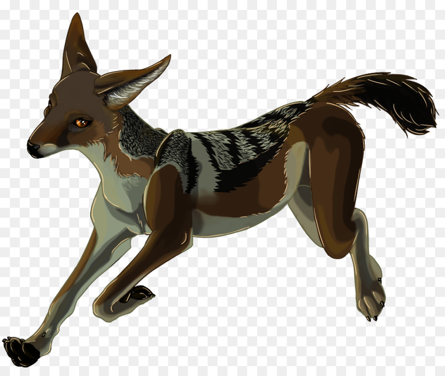 Jackal Con Respaldo Negro，Chacal PNG