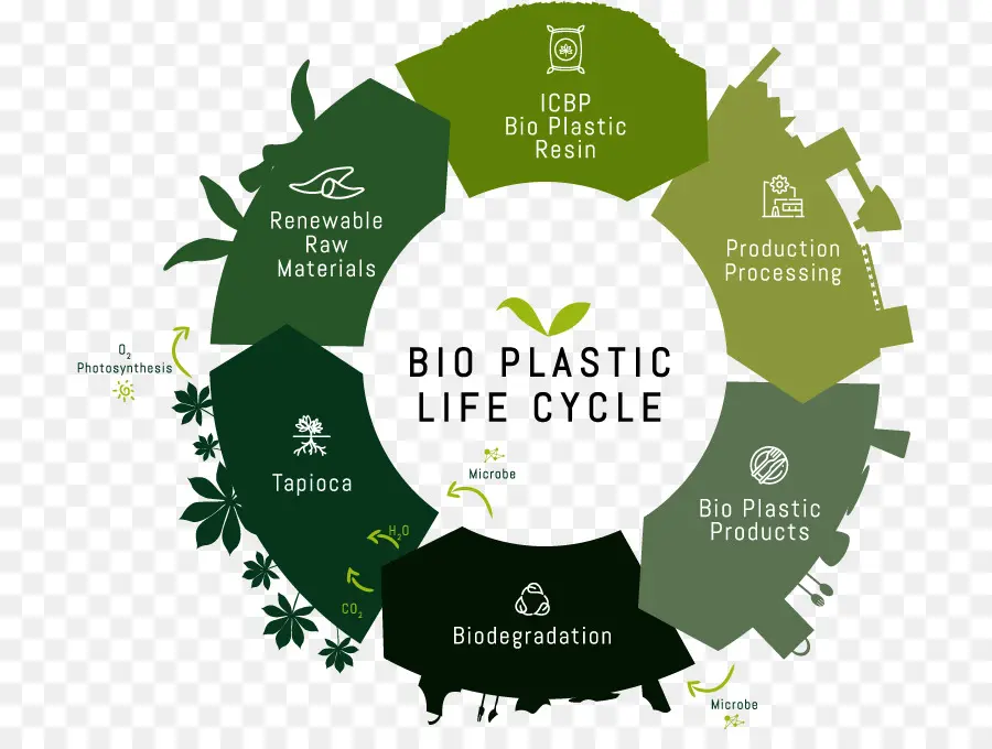 Bioplástico，El Plastico PNG