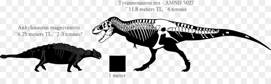 Anquilosaurio，Triceratops PNG