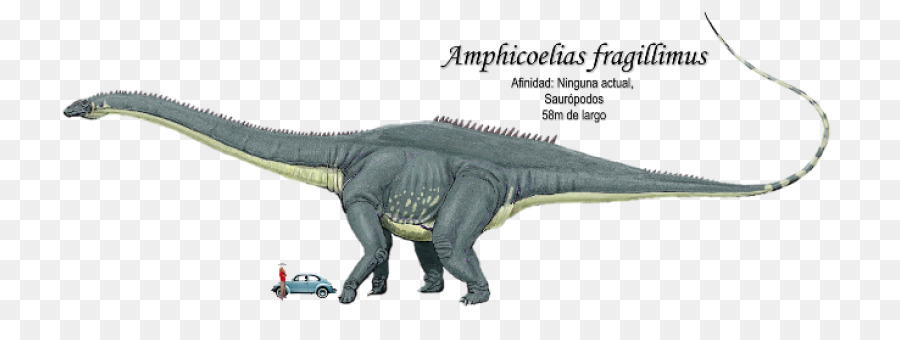 Amphicoelias，Apatosauro PNG