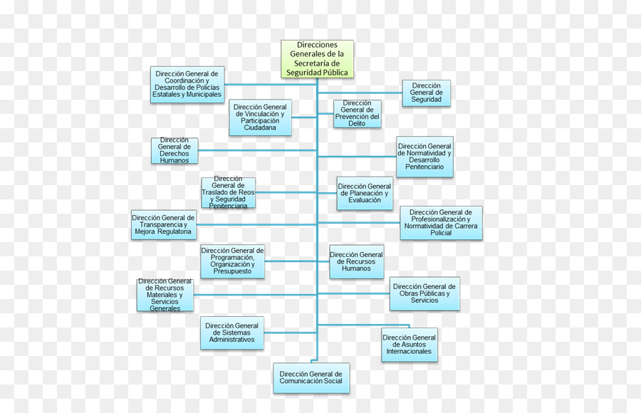 Organigrama，Estructura PNG