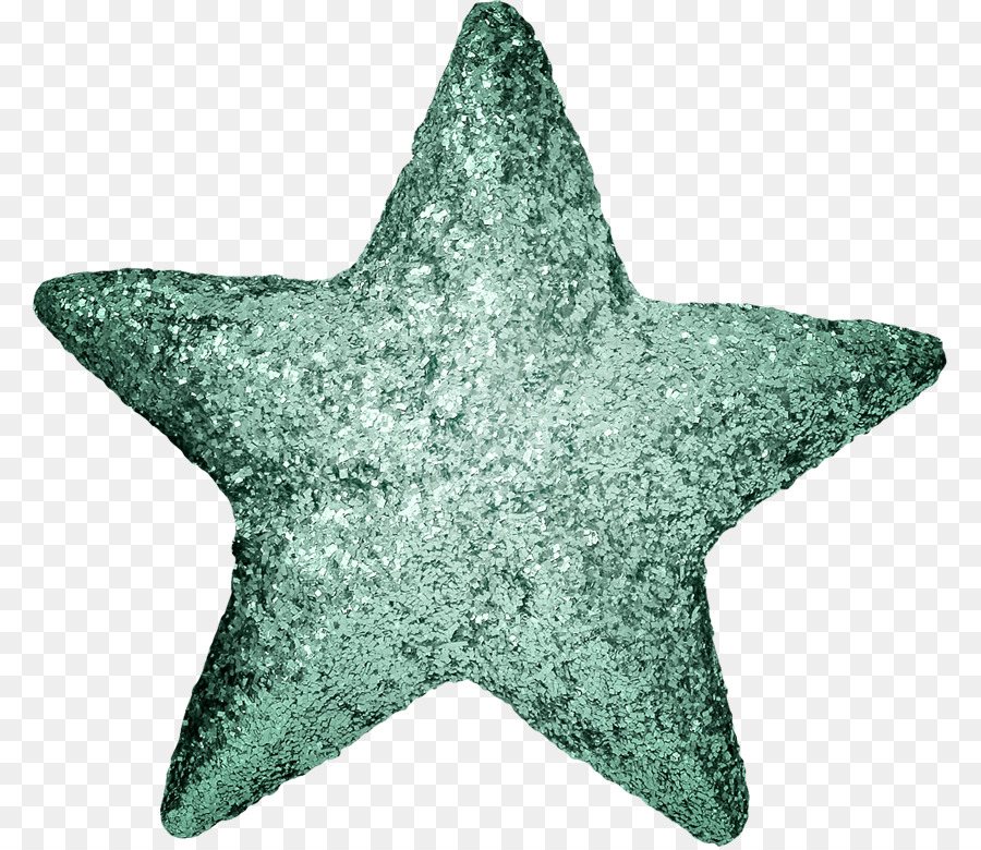 Estrella De Mar，Los Equinodermos PNG