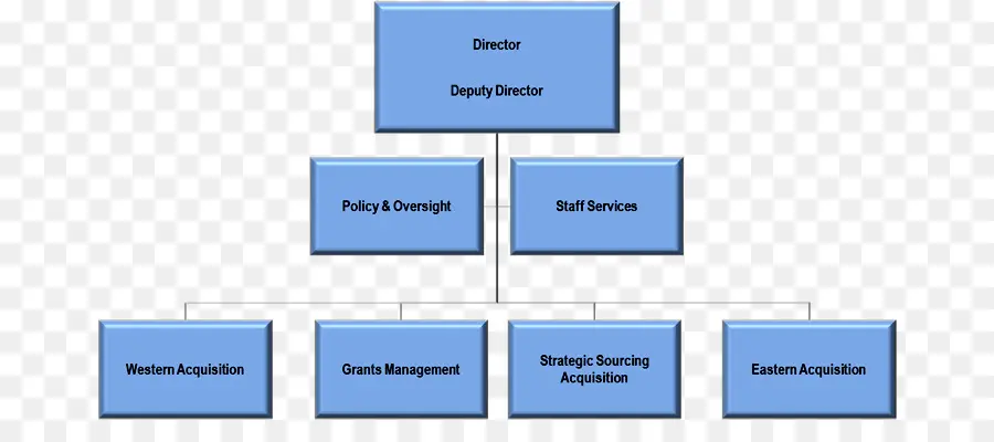 Organigrama，Estructura De La Organización PNG