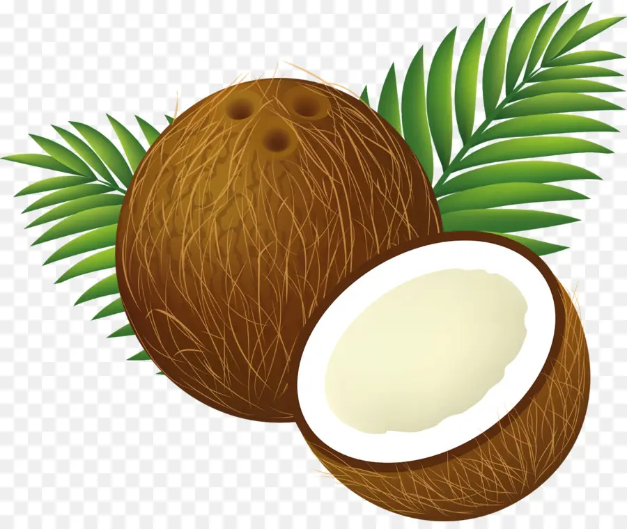 Coco，Agua De Coco PNG