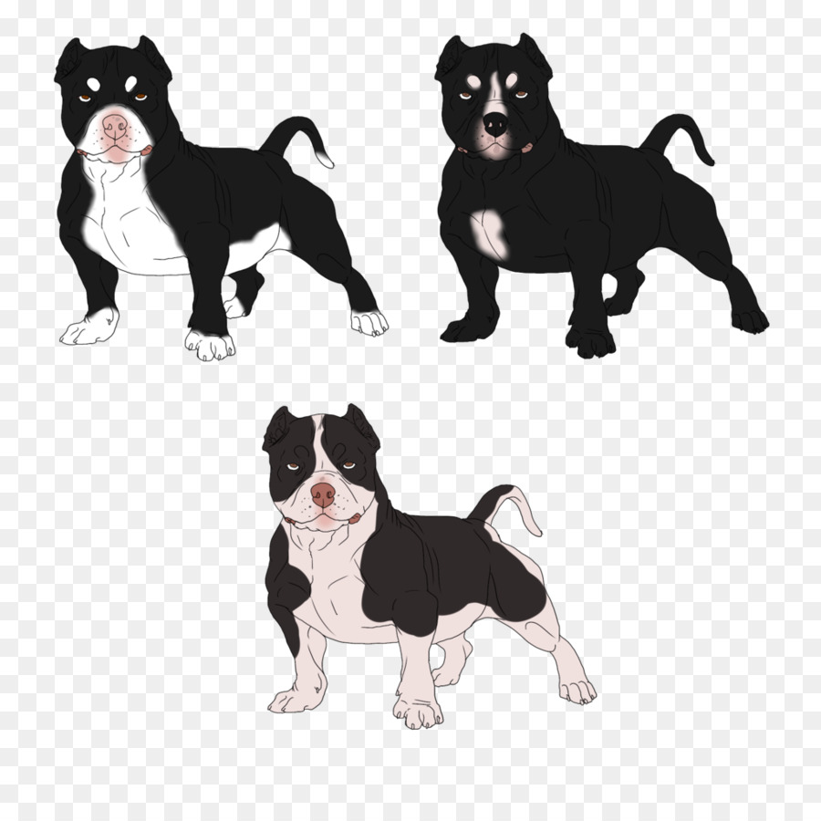 Terrier De Boston，Cachorro PNG