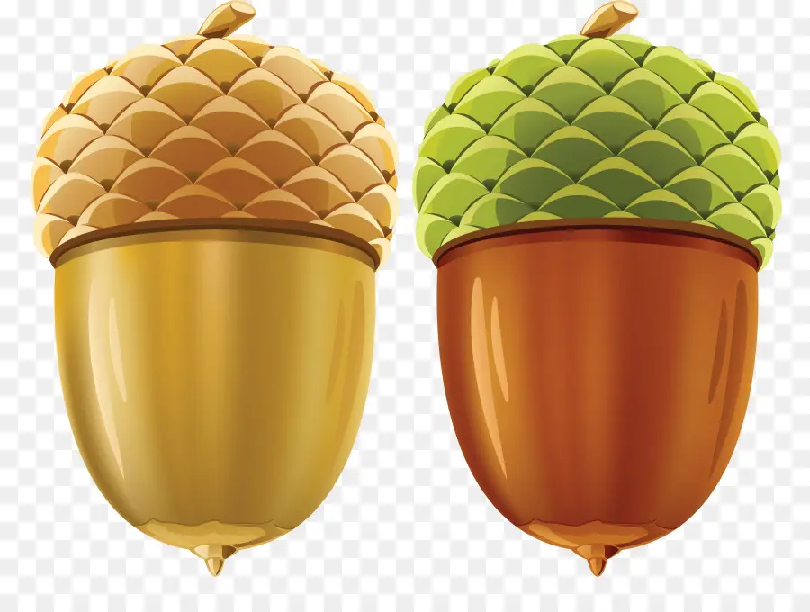 Bellotas，Cojones PNG