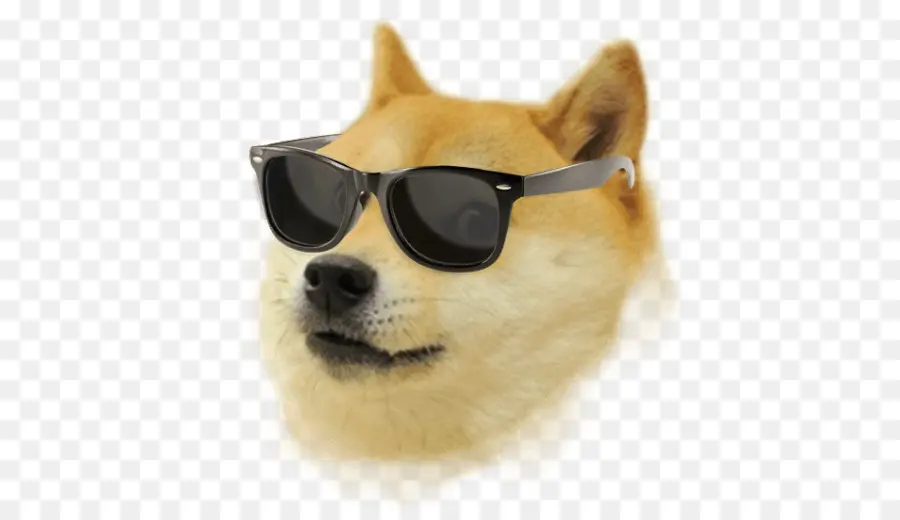 Perro Con Gafas De Sol，Gafas De Sol PNG