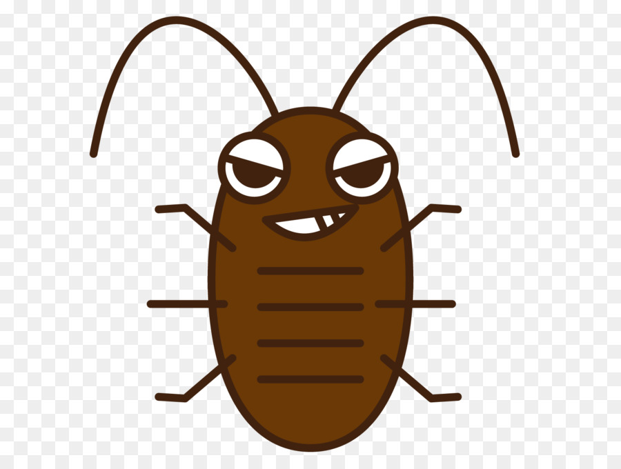 Blattodea，Cucaracha PNG