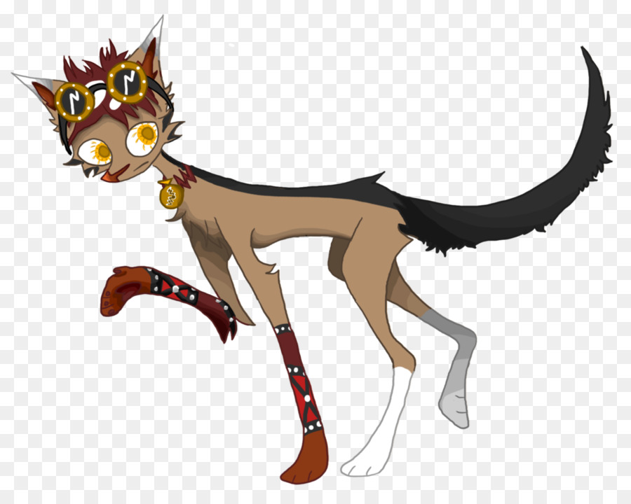 Gato，Caballo PNG