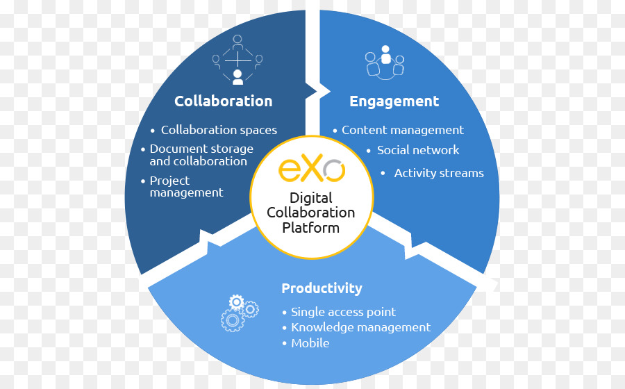 Organización，Diagrama PNG