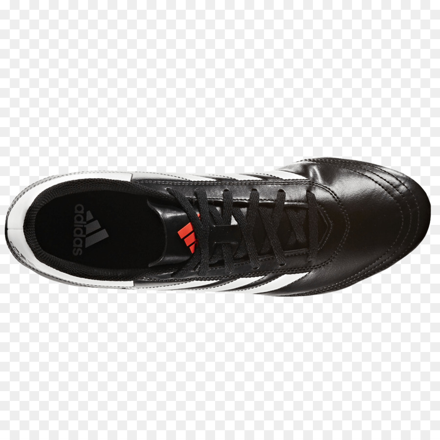 Zapato，Zapatillas De Deporte PNG