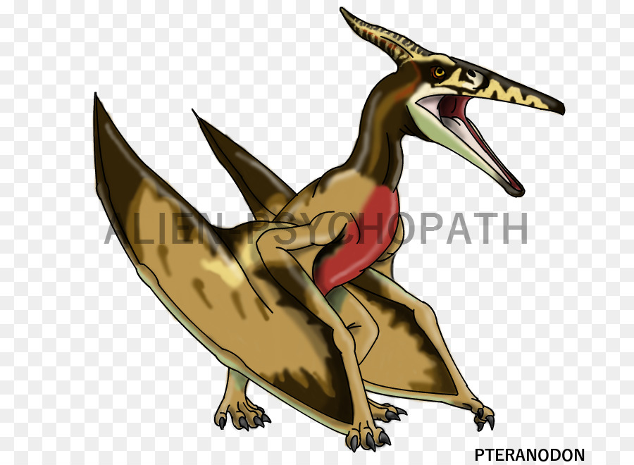 Gallimimus，Velociraptor PNG
