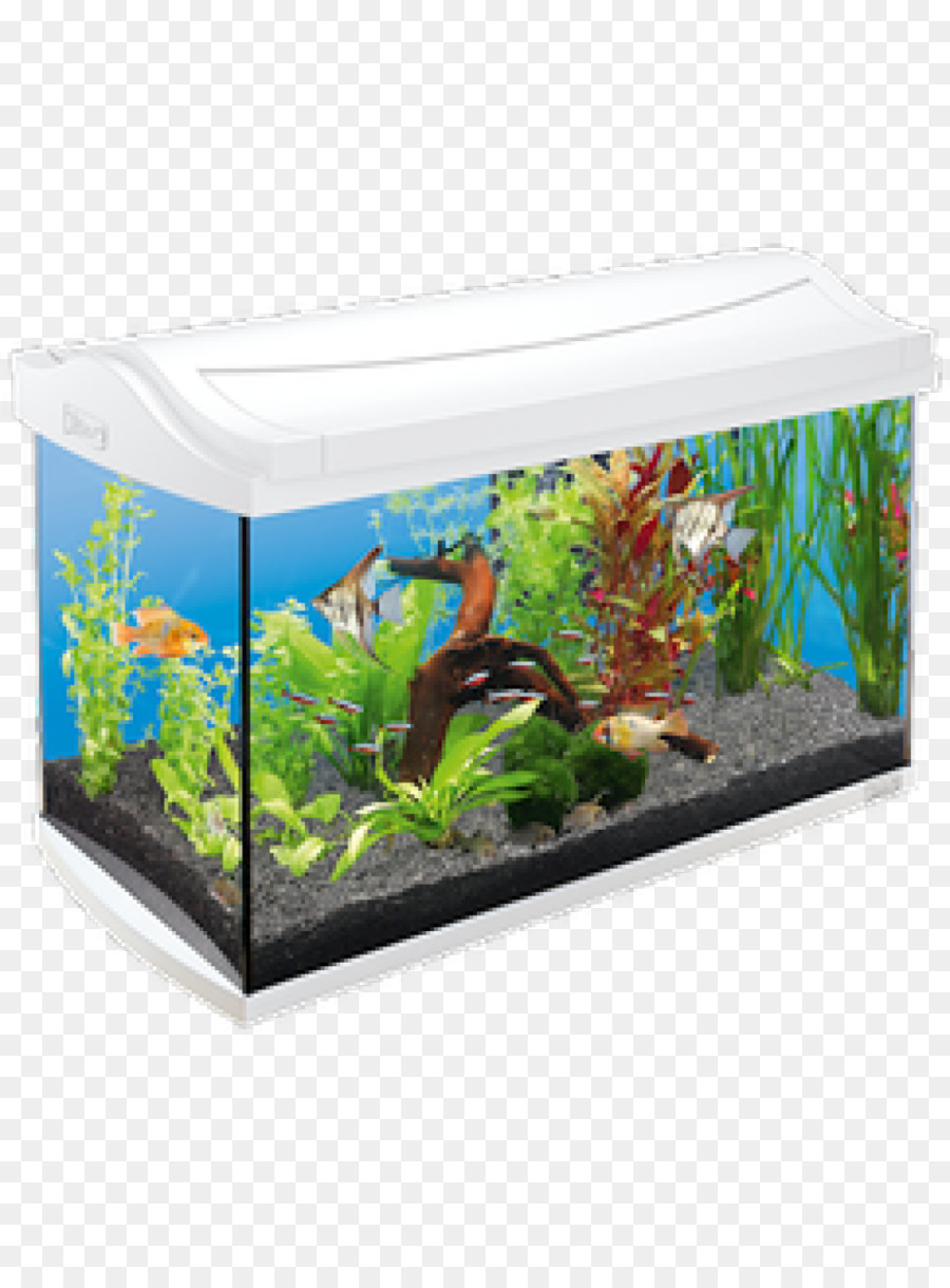 Acuario，Pecera PNG