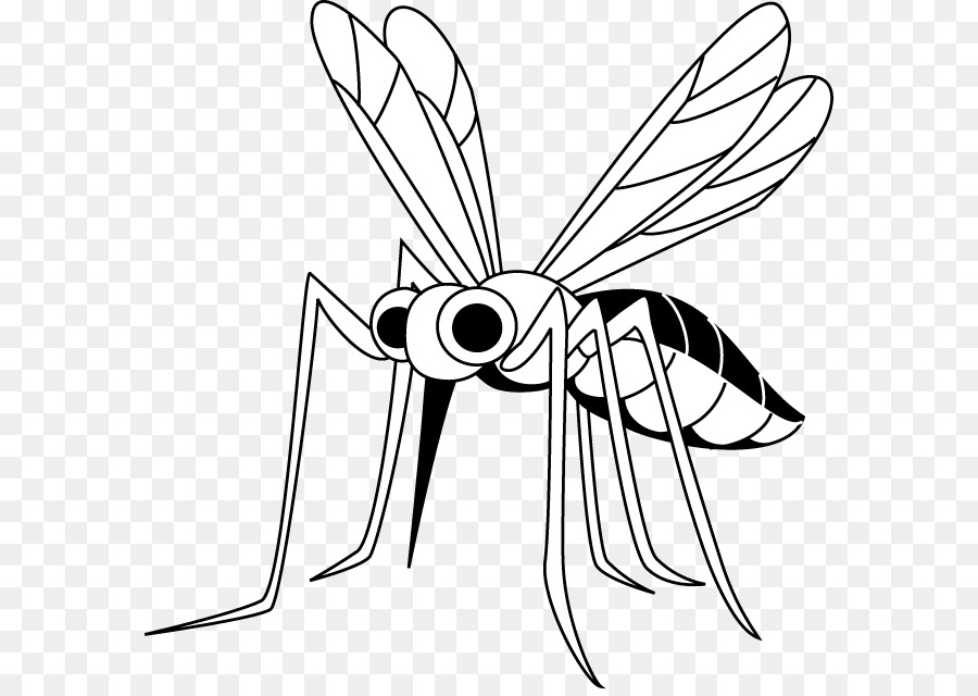 Mosquito，Insecto PNG