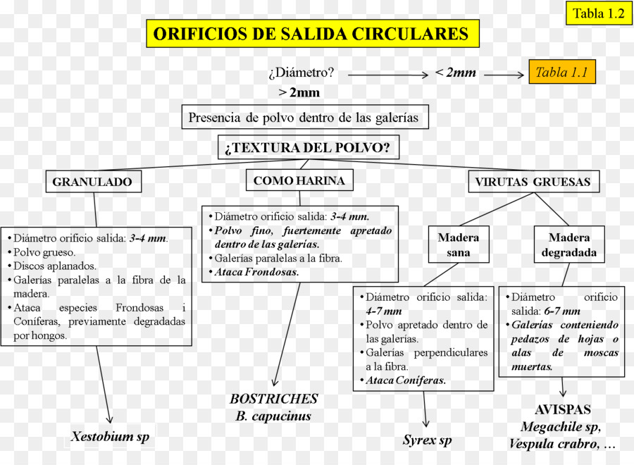 Documento，Línea PNG