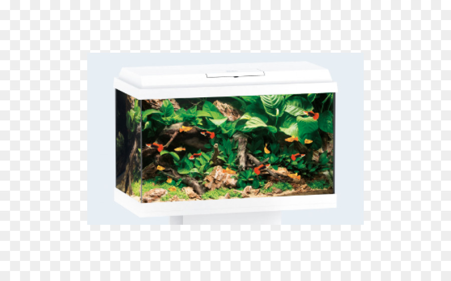 Acuario，Juwel Primo Led PNG