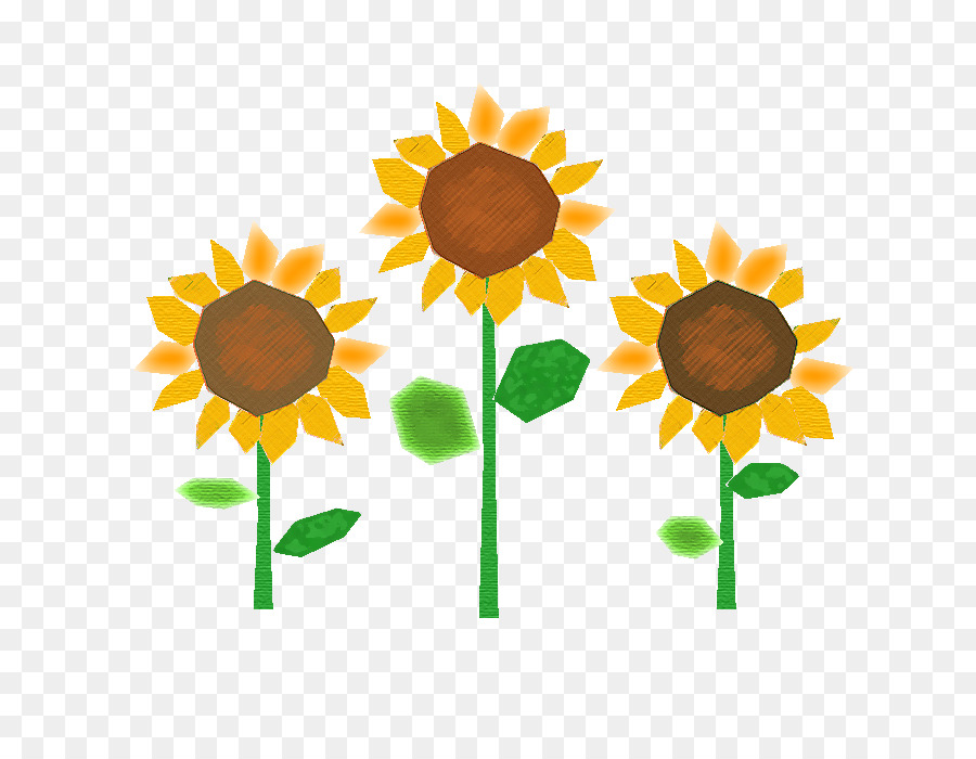 Girasoles，Arcoíris PNG