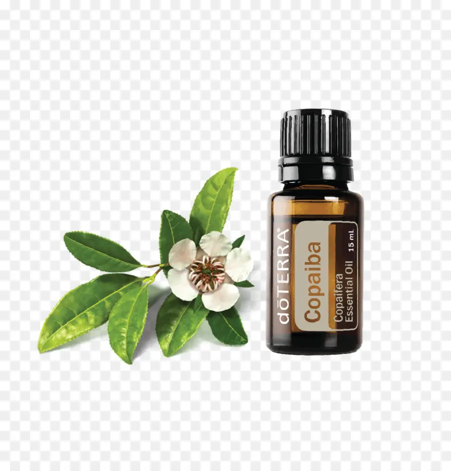 Aceite De Copaiba Doterra，Aceite Esencial PNG