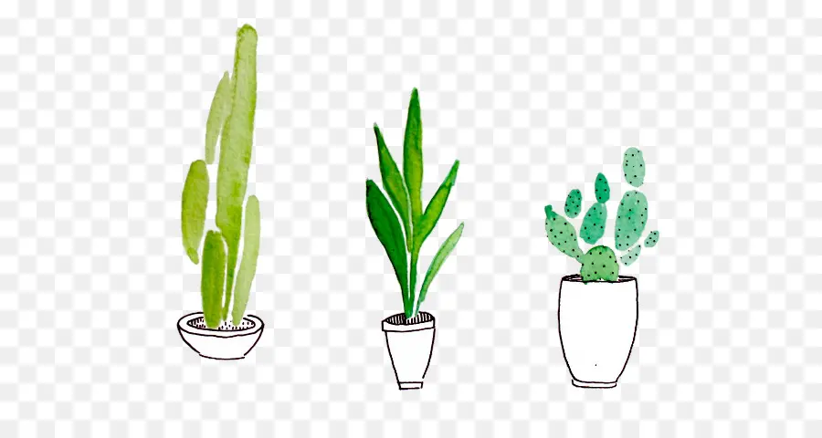 Cactus，Pintura De Acuarela PNG