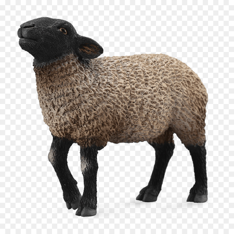 Suffolk Shep，Merino PNG