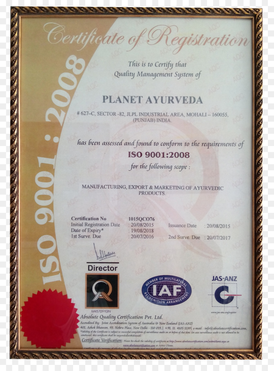 Iso 9000，Compañía PNG