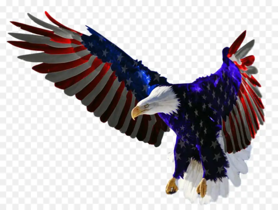 Estados Unidos，Bandera De Los Estados Unidos PNG